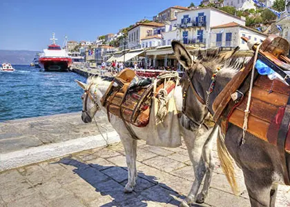 Full-day Tour of the Saronic Islands from Athens