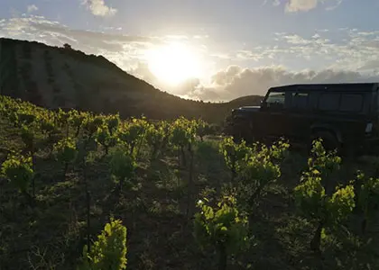 Off-Road Tour at Sunset with Wine Tasting in Chania