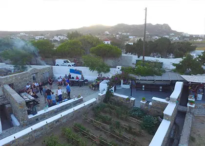 Evening Farm Experience and Barbecue in Mykonos