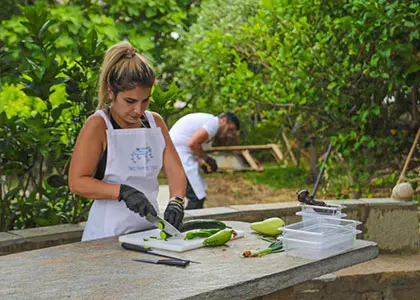 Farm-to-Table Cooking Class with Wine Tasting in Tinos
